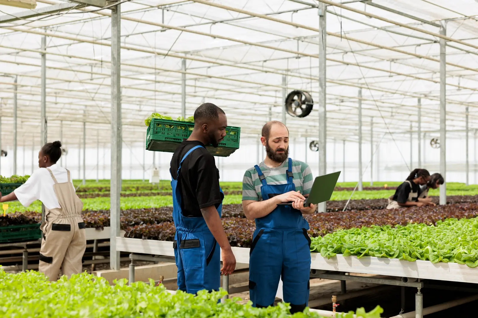 Greenhouse team reviewing information for an agricultural solar site assessment
