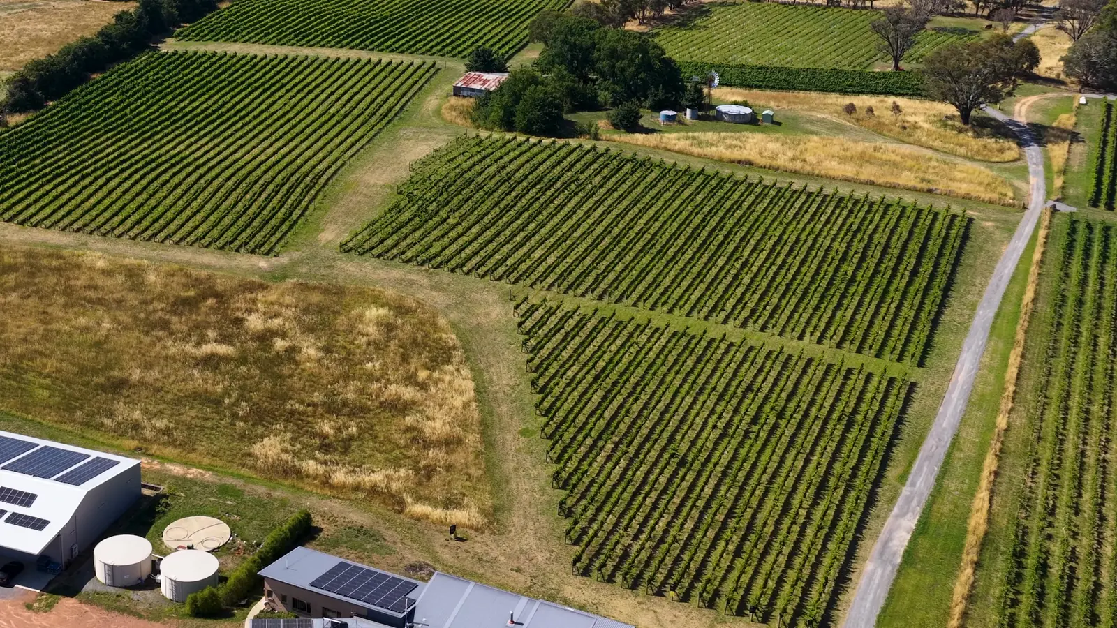 Aerial vineyard and farm buildings representing agricultural solar energy applications