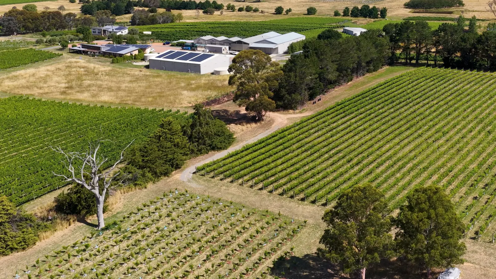 Aerial rural farm and vineyard requiring coordinated solar project planning
