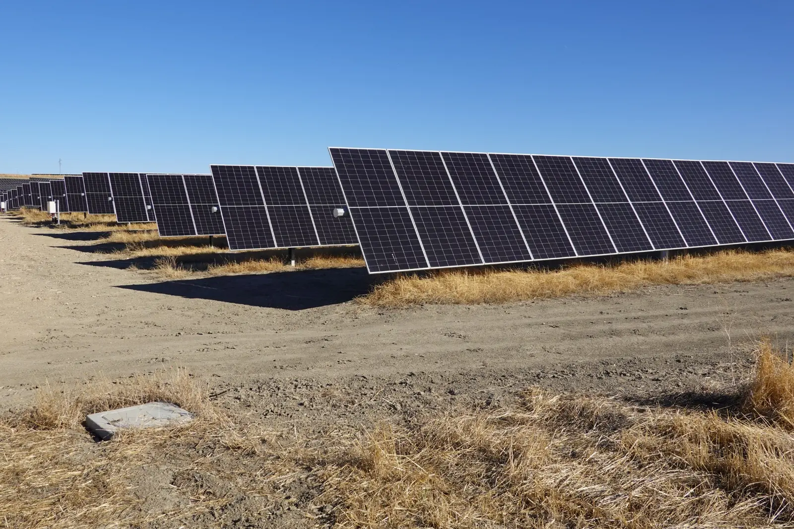 Rows of ground-mounted photovoltaic panels for a large-scale solar power plant